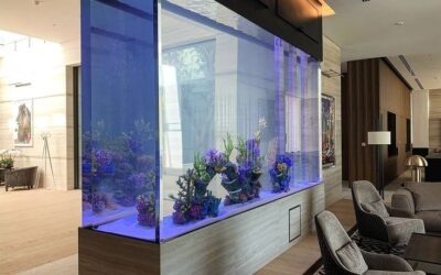 Transformasi Properti Anda Dengan Kaca Aquarium Yang Memukau